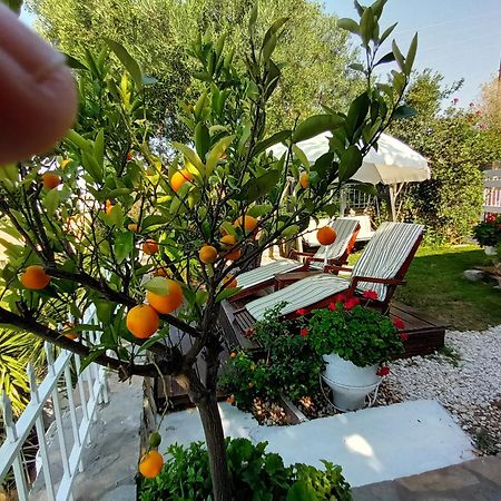 Nikos Stone House 80M From The Beach With Wifi Gerakini Exterior foto
