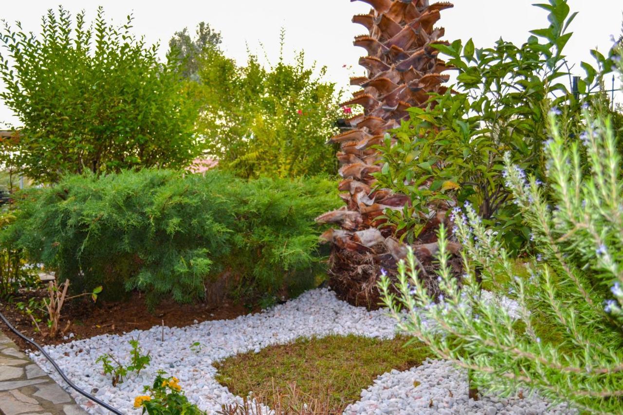Nikos Stone House 80M From The Beach With Wifi Gerakini Exterior foto