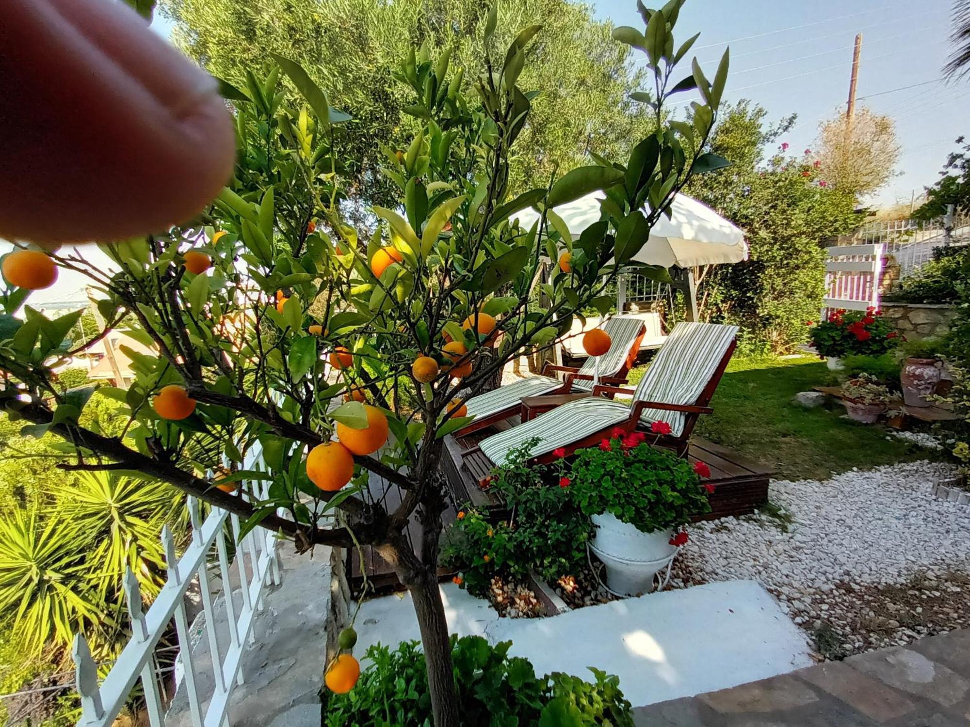 Nikos Stone House 80M From The Beach With Wifi Gerakini Exterior foto